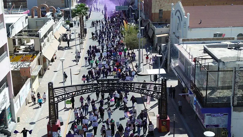 MARCHA INCLUYENTE 2026 8M